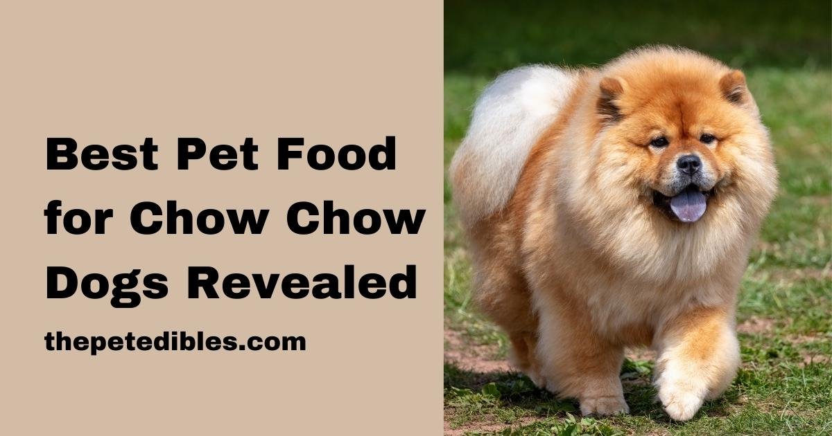 Pet Food for Chow Chow Dogs