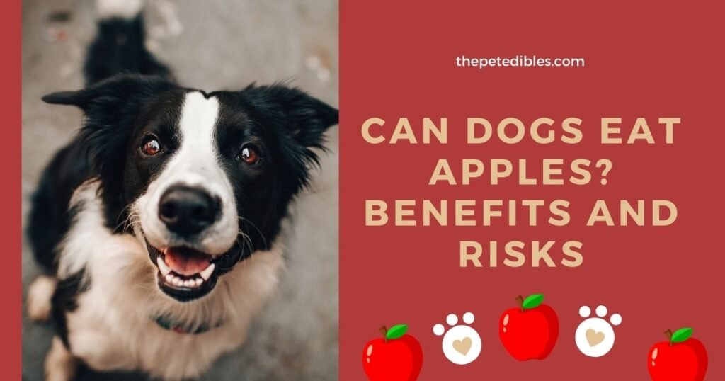 Can Dogs Eat Apples