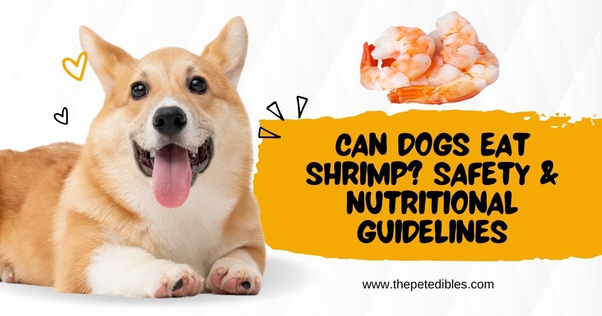 Can Dogs Eat Shrimp