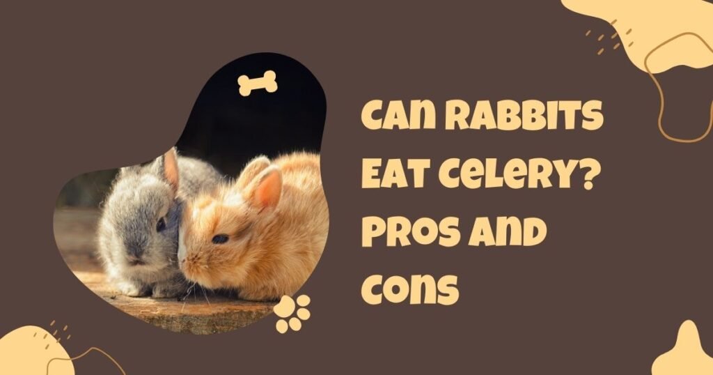 Can Rabbits Eat Celery