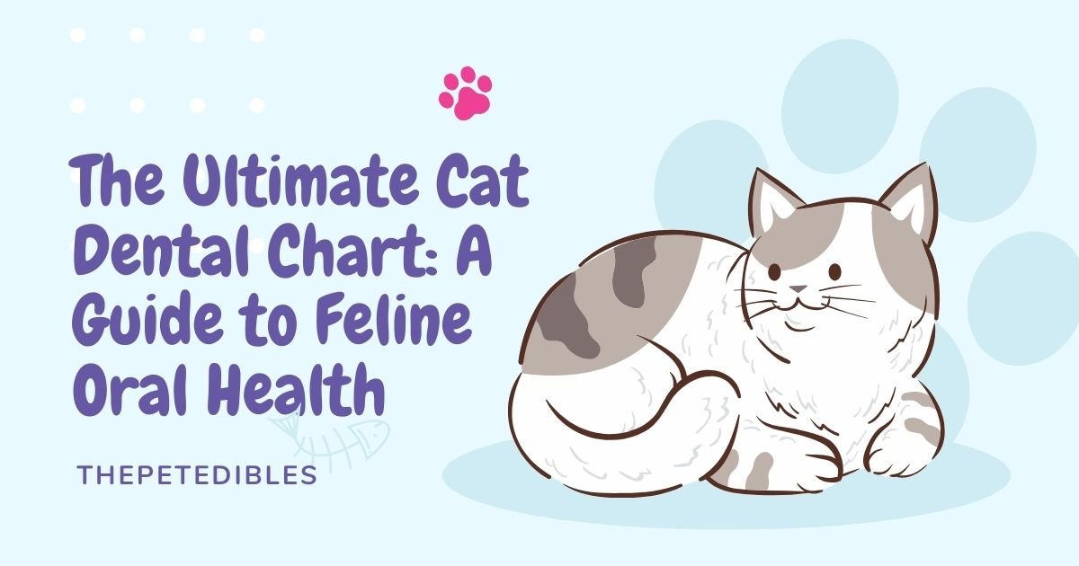 The Ultimate Cat Dental Chart A Guide to Feline Oral Health