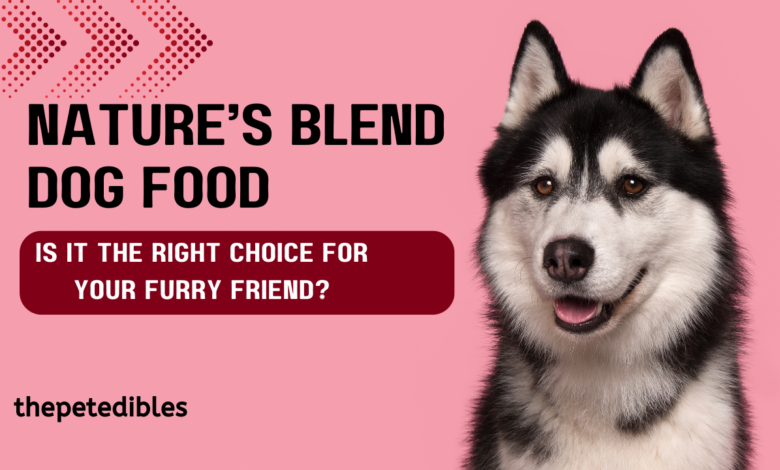 Blend Dog