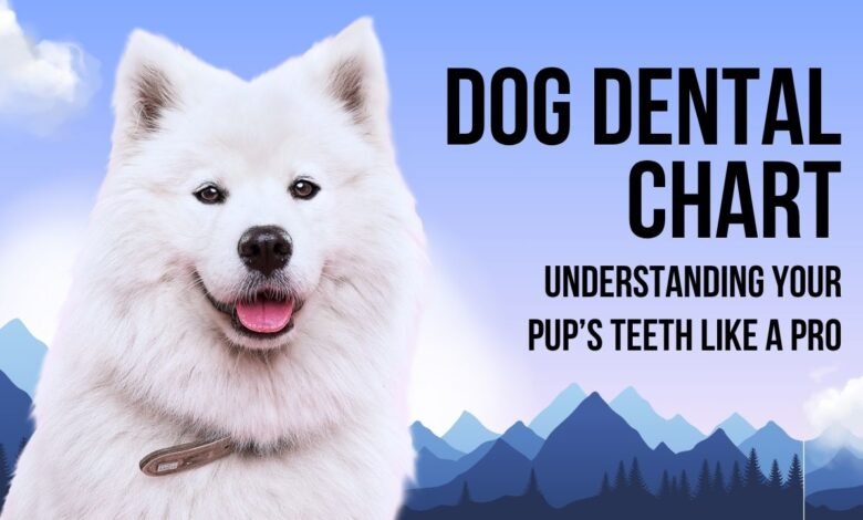 Dental