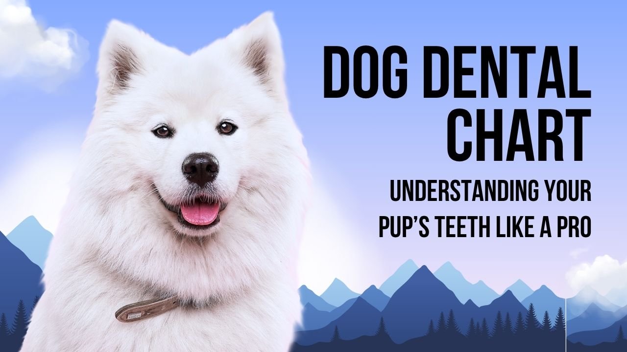 Dental